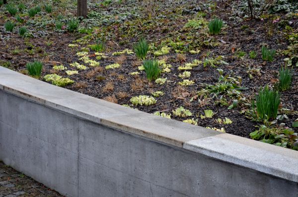 Concrete Wall Construction in Wheaton