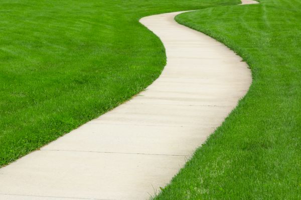 Cost of Walkway Building in Wheaton
