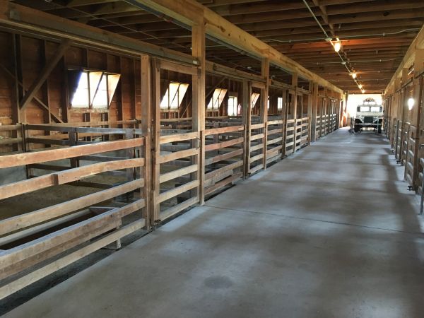 Barn Floor Pouring in Wheaton