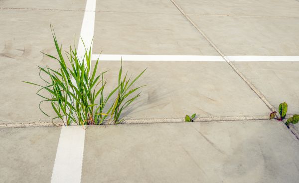 Concrete Parking Installation in Wheaton