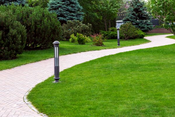 Backyard Sidewalk Installation in Wheaton